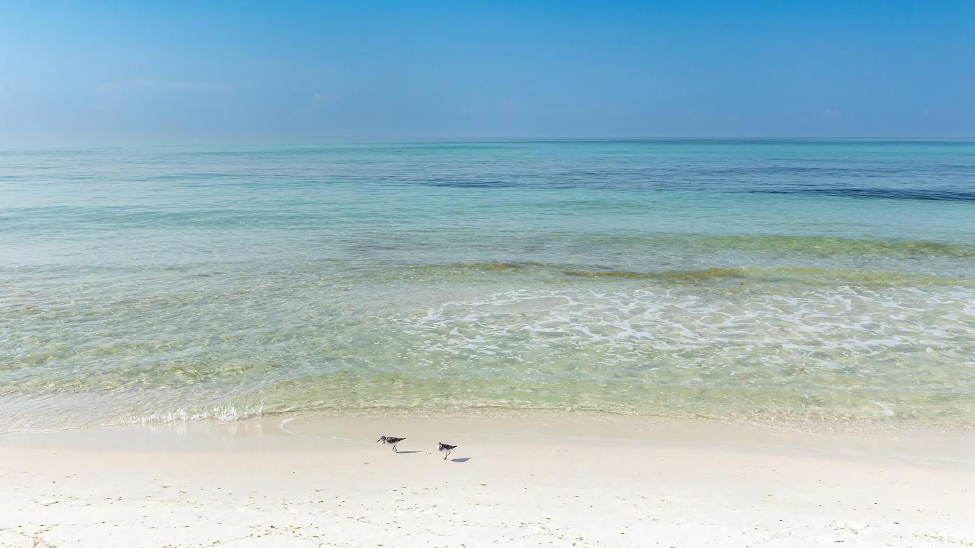 Sandpiper Cove 8226- By Holiday Isle Properties Destin Apartment